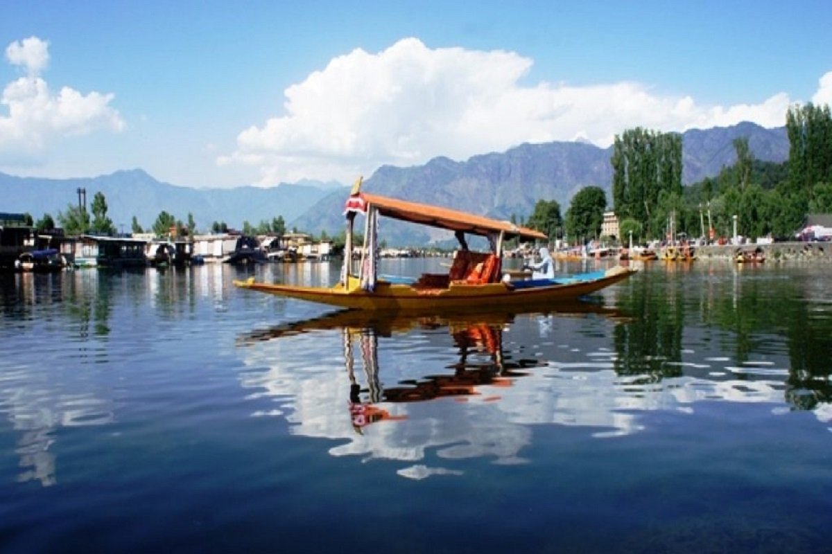 Slide Image